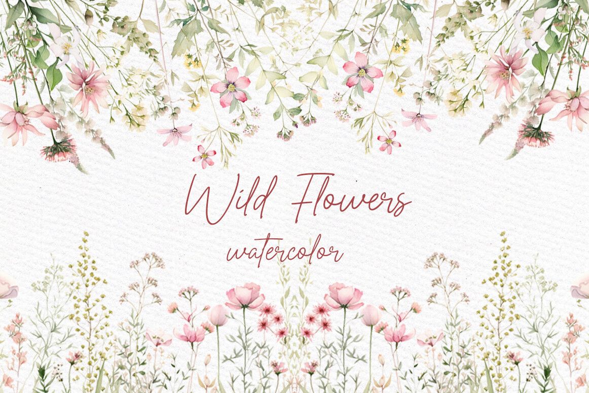 Wild Flowers Clipart Field Meadow Flower